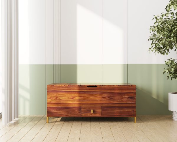 Suryavanshi Sheesham Wood Bar Cabinet Versatile Coffee Table – Vintage Iron or Brass Gold Finish