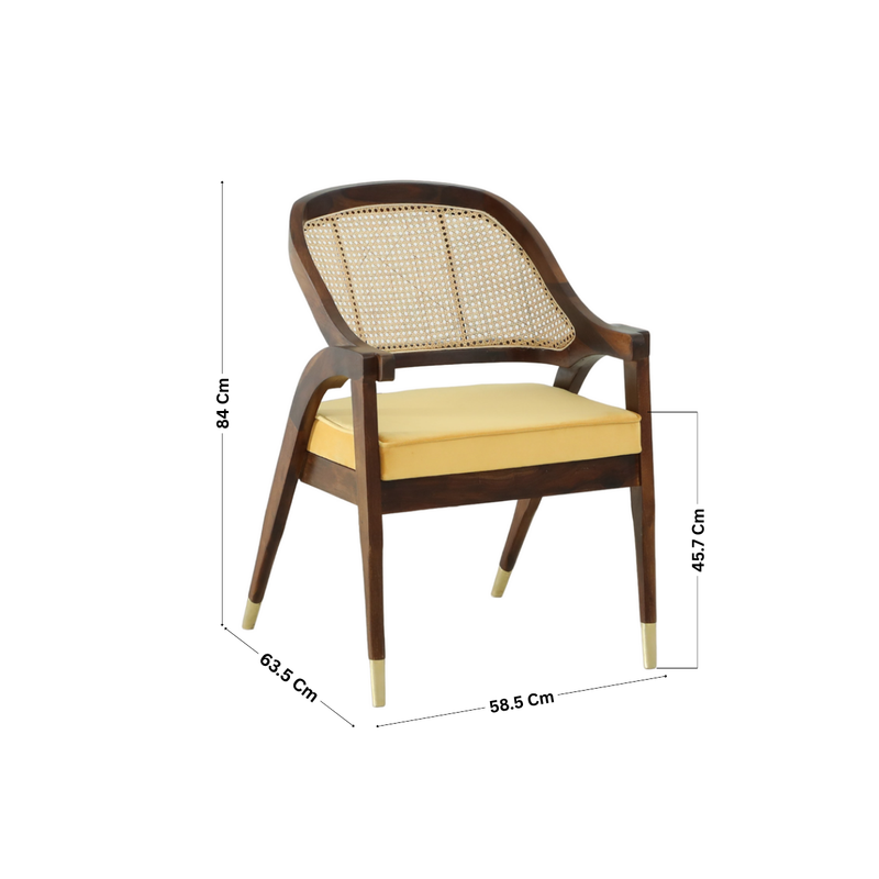 Sheesham Wood Cushioned Arm Chair
