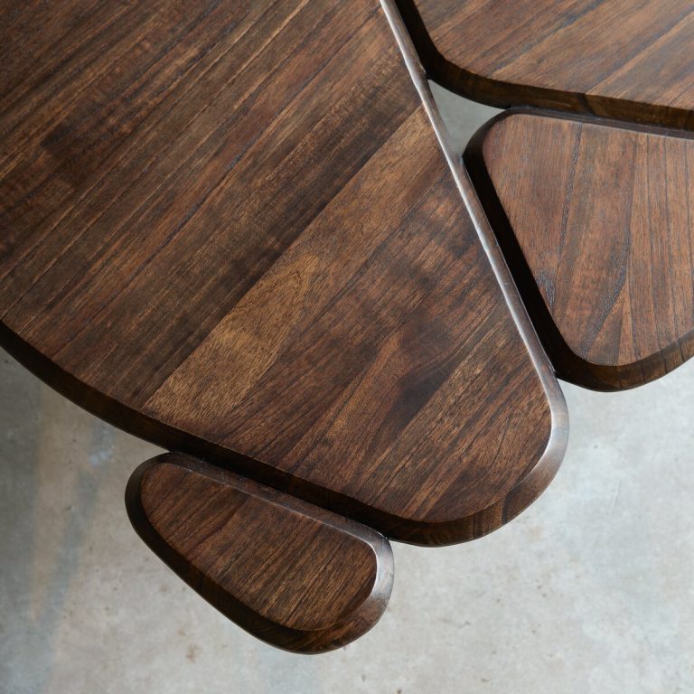 Suryavanshi Sheesham Wood & Iron Stand Free Form Coffee Table (Free Form, W130 D80 H38 cm)