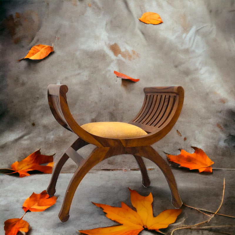 Suryavanshi Solid Sheesham Wood Single Seater Sofa Solid Wood 1 Seater (W35xH64xD59 CM)