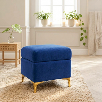 Suryavanshi Velvet Upholstered Pouffe with Iron Brass-Coated Legs – Chic Seating