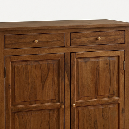 Suryavanshi Sheesham Wood Shoe Storage Cabinet with 2 Drawers and Double Doors