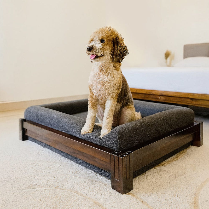 Premium Sheesham Wood Dog Bed with Cushion – Sturdy Wooden Pet Sofa for Medium & Large Dogs, Elegant Handcrafted Design