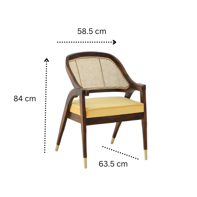 SURYAVANSHI Sheesham Wood Cushioned Arm Chair (W58.5 x D63.5 x H84 cm)