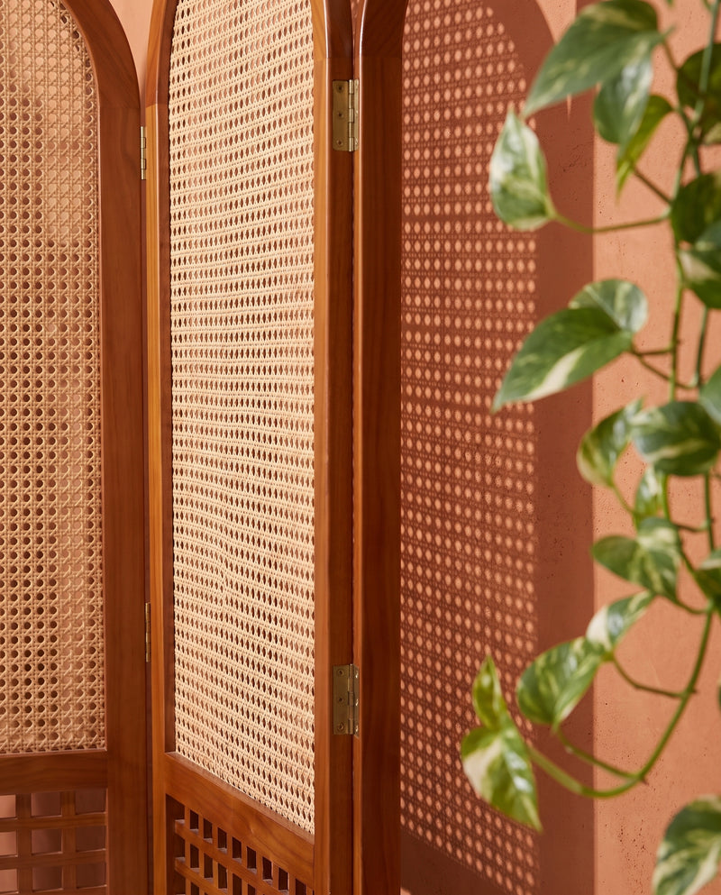 Suryavanshi Arched Sheesham Wood Room Divider with Natural Cane Weave - Foldable 3 Panel Screen