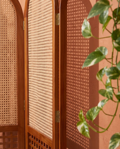 Suryavanshi Arched Sheesham Wood Room Divider with Natural Cane Weave - Foldable 3 Panel Screen